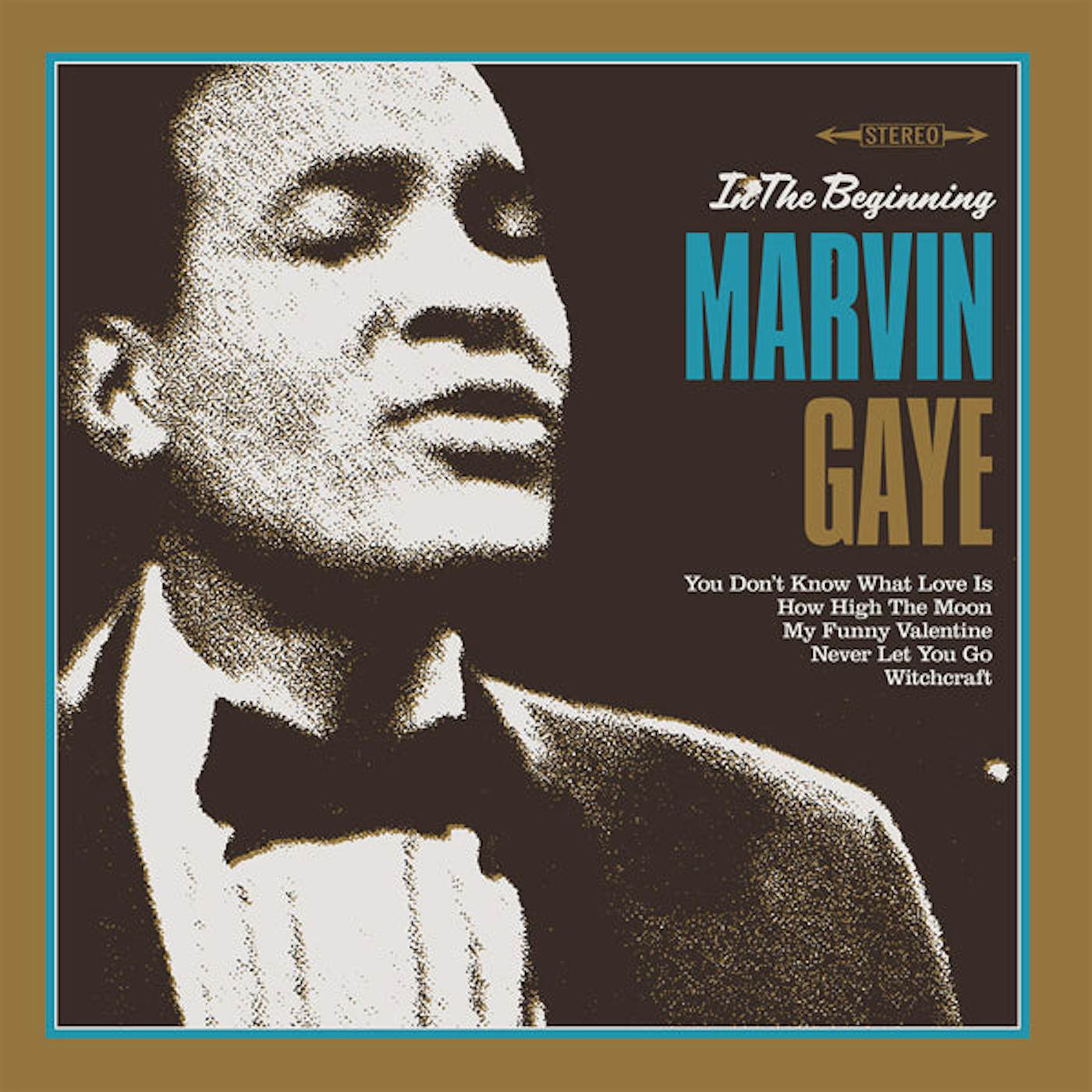 - Marvin Gaye - In the Beginning Vinyl LP Record - - Vinyl Messi