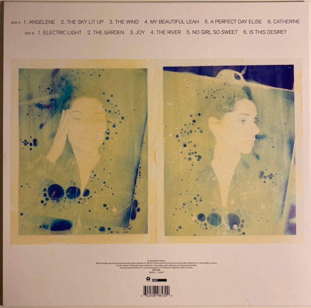 PJ Harvey - Is This Desire? - Demos - Vinyl LP Record - Vinyl Messi
