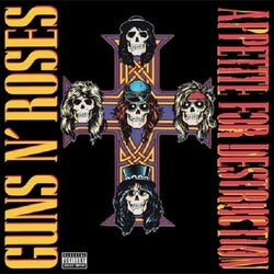 Guns N' Roses - Appetite for Destruction - Vinyl LP Record
