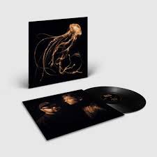 Royal Blood - Back to the Water Below - Vinyl LP Record - Vinyl Messi
