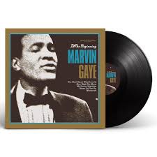 Marvin Gaye - In the Beginning Vinyl LP Record