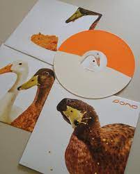 Pond - Early Years: 2008 - 2010, The - 180g Mango Coloured Vinyl - (RSD 2025) - Vinyl LP Record