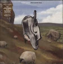 English Teacher - This Could be Texas (Gold Vinyl with Bonus CD) Vinyl LP Record